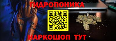 твердый Шелехов