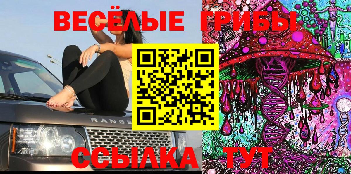 Галлюциногенные грибы прущие грибы Амурск