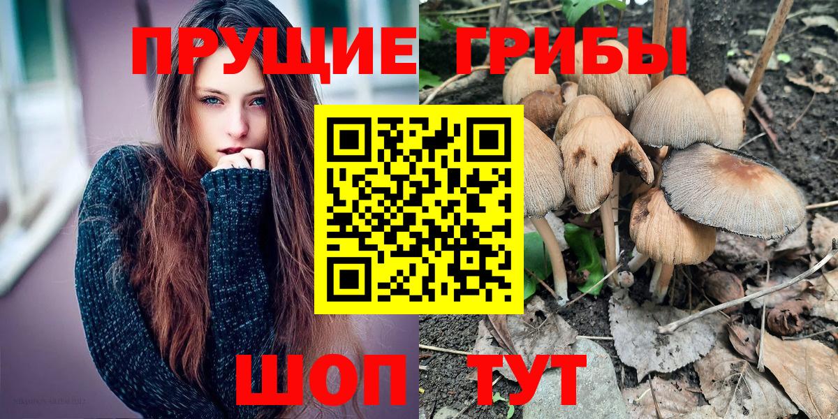 Псилоцибиновые грибы ЛСД  Вход с VPN  купить наркотики сайты  Амурск 
